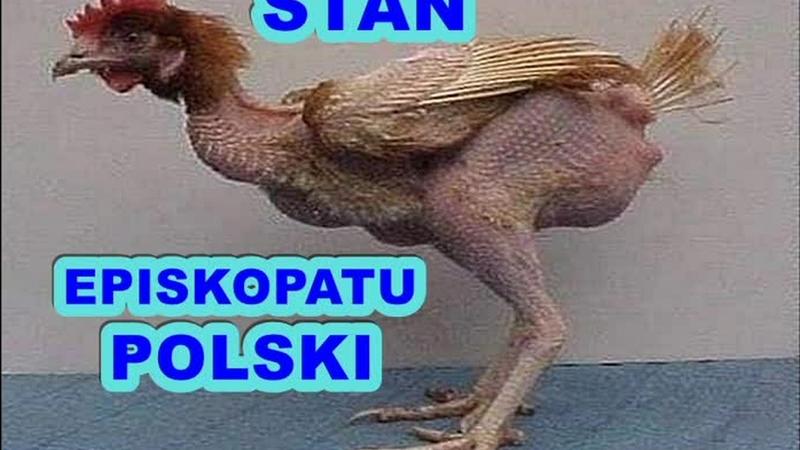 Piotr Mrotek Wielkopolska