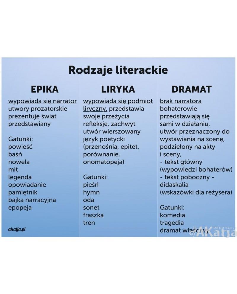 Rola narratora w literaturze