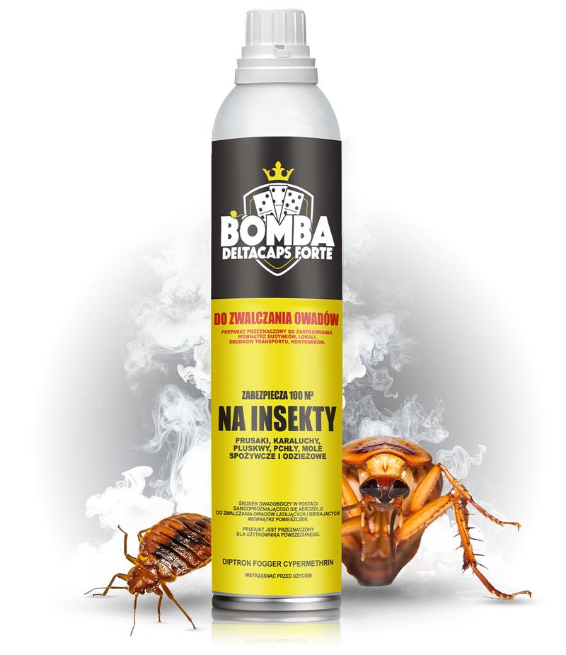 Nieznane ciekawostki o bombie