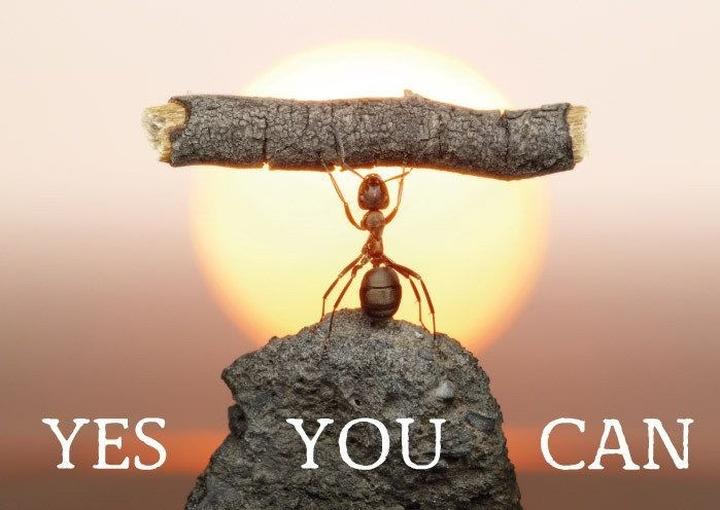 Dokumenty o determinacji i sile ducha