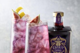 Koktajle i gry online: stwórz idealną atmosferę dla stylowej rozrywki w domu