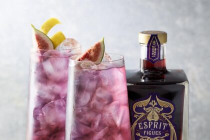 Koktajle i gry online: stwórz idealną atmosferę dla stylowej rozrywki w domu